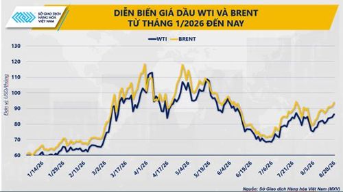 Diễn biến giá dầu từ tháng 1 đến nay. Nguồn: MXV