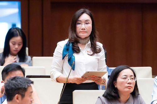 ĐBQH Phạm Thu Xanh - Đoàn TP Hải Phòng. Ảnh: Media Quốc hội
