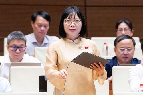 ĐBQH Nguyễn Thị Việt Nga - Đoàn ĐBQH TP Hải Phòng. Ảnh: Media Quốc hội