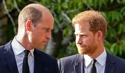 ANL gọi phán quyết ngày 21/8 là "một chiến thắng vang dội nữa cho Daily Mail và nền báo chí", đồng thời cho rằng quyết định của tòa là sự chỉ trích mạnh mẽ đối với nỗ lực nhằm làm tổn hại danh tiếng của tờ báo và đội ngũ nhân sự.