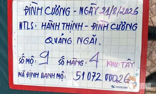  Thông tin về phần mộ có các di vật vừa được khai quật.