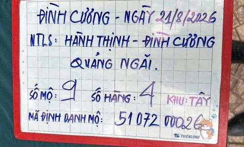 Thông tin về phần mộ phát hiện bức ảnh trên. Ảnh: Bộ Chỉ huy Quân sự tỉnh Quảng Ngãi