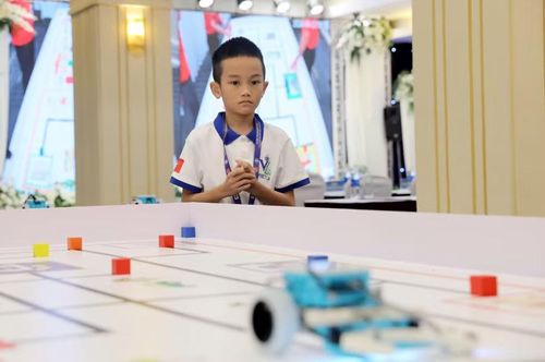 Các đội thực hiện việc lắp ráp, lập trình, hiệu chỉnh và vận hành robot trực tiếp tại địa điểm thi đấu.