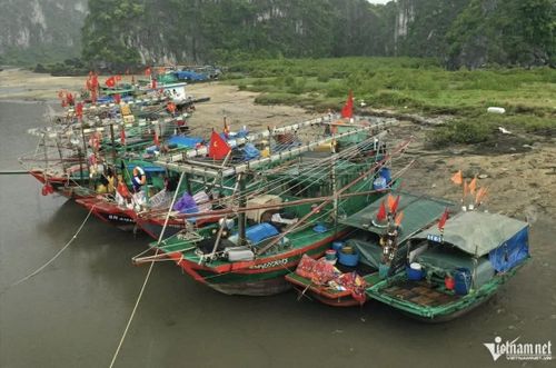 Hướng dẫn tàu, thuyền neo đậu an toàn và duy trì liên lạc trong vùng ảnh hưởng của bão. (Ảnh: Phạm Công)