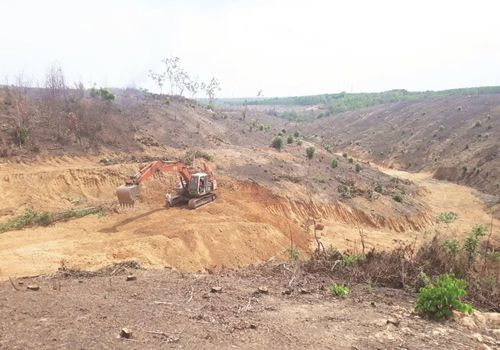 KDC Phú An Lành đa số có nguồn gốc từ đất rừng sản xuất và đất trồng cây lâu năm (ảnh: Lê Thuận)