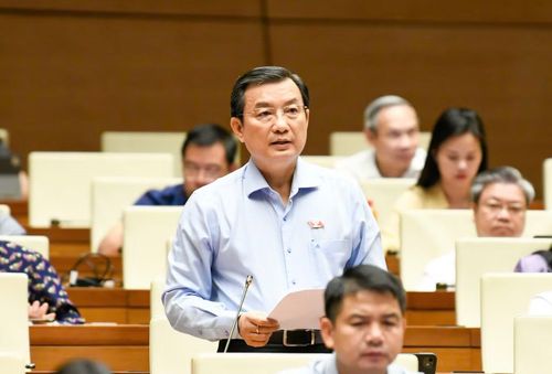 Đại biểu Phạm Trọng Nhân (đoàn TPHCM). Ảnh: Như Ý.