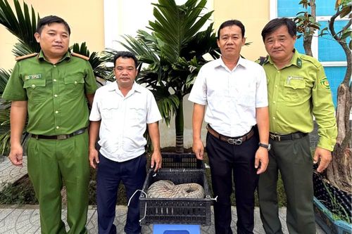 Công an phường Bình Minh bàn giao cá thể tê tê cho cơ quan chức năng.