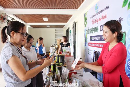 Trang bị kỹ năng cho phụ nữ khởi nghiệp xanh, khởi nghiệp số.