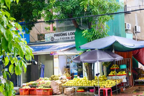 Những gian hàng đầy ắp bưởi Phúc Trạch báo hiệu một mùa bưởi đặc sản Hà Tĩnh vào vụ, đáp ứng nhu cầu thưởng thức và làm quà của người tiêu dùng.