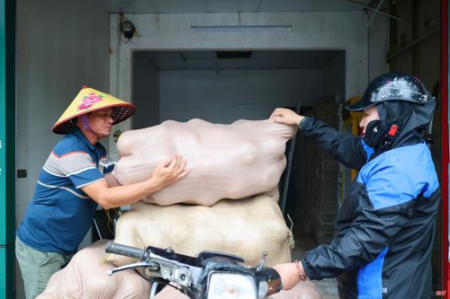 Các tiểu thương liên tục nhập hàng để cung ứng cho thị trường.
