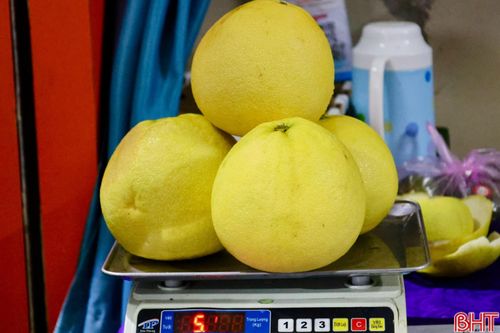 Cửa hàng của ông Nguyễn Văn Thủy tiêu thụ từ 300 - 500 quả bưởi Phúc Trạch/ngày.