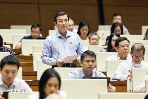 Đại biểu Quốc hội Thành phố Hồ Chí Minh Phạm Trọng Nhân phát biểu. (Ảnh: Doãn Tấn/TTXVN)