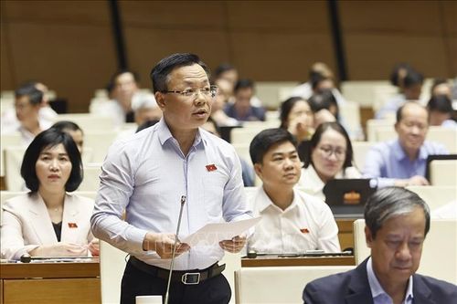Đại biểu Quốc hội TP Hà Nội Trần Thanh Hà phát biểu. Ảnh: Doãn Tấn/TTXVN