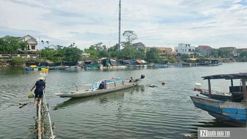 Tại thôn Cồn Sẻ, có khoảng 40 hộ dân nuôi cá lồng trên sông.