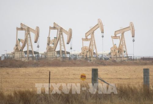 Tháp khoan dầu tại Texas, Mỹ. Ảnh: THX/TTXVN phát