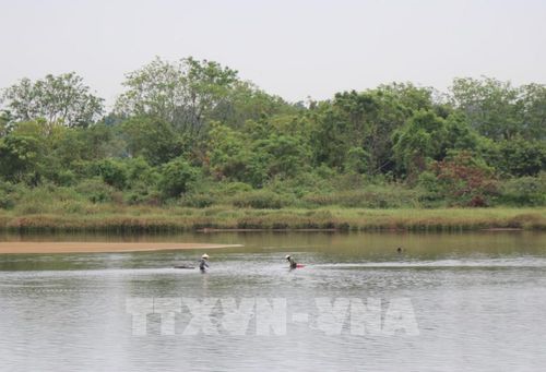 Người dân cào Don khu vực hạ nguồn sông Trà Khúc. Ảnh: Phạm Cường-TTXVN