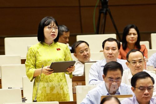 Đại biểu Quốc hội thành phố Hải Phòng Nguyễn Thị Việt Nga phát biểu. Ảnh: Doãn Tấn - TTXVN