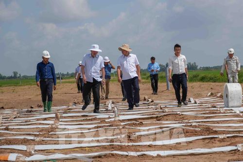Phó Chủ tịch Thường trực UBND thành phố Cần Thơ Lê Công Lý (thứ 2, trái sang) kiểm tra tiến độ thi công gói thầu số 1, dự án thành phần 2 cao tốc Châu Đốc - Cần Thơ - Sóc Trăng, đoạn giáp ranh tỉnh An Giang. Ảnh: Thanh Liêm - TTXVN