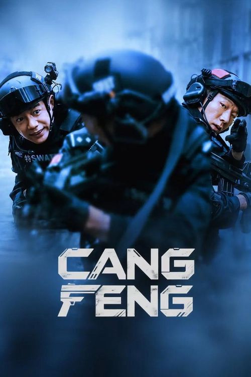 Tàng Phong có sự tham gia của Đoàn Dịch Hoành, Dư Nam và A Như Na, lấy góc nhìn của một cảnh sát làm công việc văn phòng để triển khai câu chuyện điều tra. Ý tưởng này tạo được nét khác biệt nhất định, trong đó diễn xuất của Đoàn Dịch Hoành được đánh giá khá tiết chế và có chiều sâu. Tuy nhiên, một số ý kiến cho rằng kịch bản vẫn còn những điểm thiếu thuyết phục khi tiến trình vụ án đôi lúc dựa vào sự trùng hợp, từ đó làm giảm cảm giác chân thực. Nhân vật cảnh sát đặc nhiệm do A Như Na thể hiện cũng gây tranh luận bởi tính cách được xây dựng khá mạnh, đôi khi chưa tạo được sự phù hợp với môi trường làm việc của một cảnh sát.