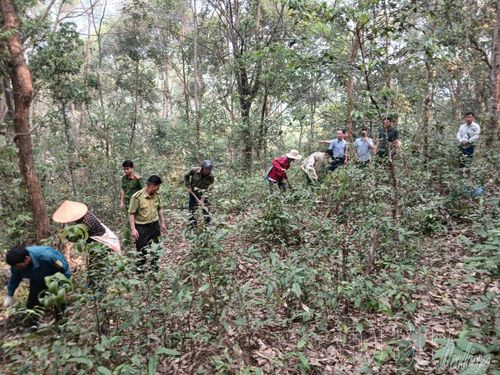 Ban Quản lý rừng phòng hộ, rừng đặc dụng tỉnh cùng người dân tuần tra, kiểm soát bảo vệ rừng.