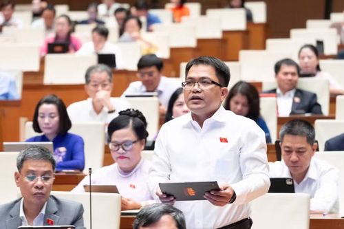  ĐB Trường Trung Tuyến đề nghị không chỉ xác định đối tượng hỗ trợ theo chuẩn nghèo mà cần tính đến mức độ thiếu hụt thực tế về nhà ở. Ảnh: Đoàn ĐBQH tỉnh Gia Lai 