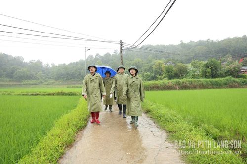 Đoàn công tác kiểm tra thực tế khu vực bị chia cắt do mưa bão tại xã Lộc Bình