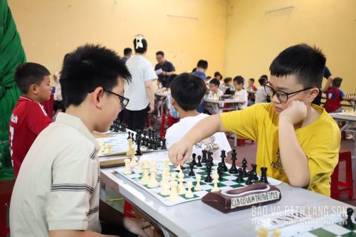 Các vận động viên thi đấu cờ vua