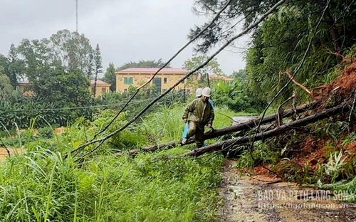 Cán bộ Điện lực Xứ Lạng kiểm tra khu vực cây gãy đổ vào đường dây hạ thế