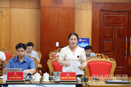 Lãnh đạo Sở Nông nghiệp và Môi trường báo cáo tại cuộc họp