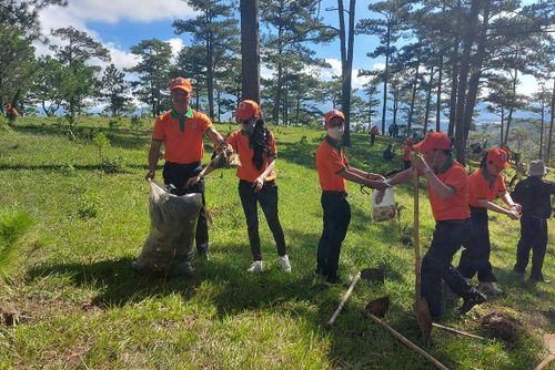 Nhiều công ty phát động nhân viên thu gom rác thải dưới tán rừng, góp phần bảo vệ môi trường Đà Lạt xanh - sạch - đẹp
