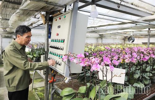 Không chỉ trong sản xuất công nghiệp, tại các cơ sở sản xuất nông nghiệp công nghệ cao, việc ứng dụng công nghệ để vận hành hệ thống tưới tự động, kiểm tra nhiệt độ cũng là những yếu tố quan trọng, góp phần quyết định năng suất, chất lượng sản phẩm.