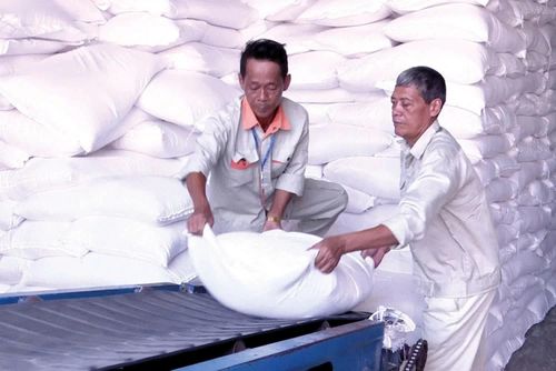 Bốc xếp gạo tại điểm kho Đông Anh thuộc Chi cục Dự trữ Nhà nước khu vực I. Ảnh: Đức Minh