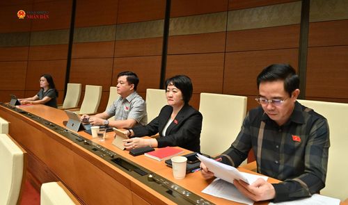 Các đại biểu tham dự phiên thảo luận tại hội trường. Ảnh: Quang Khánh