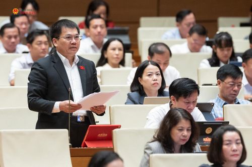 ĐBQH Dương Khắc Mai (Lâm Đồng) phát biểu. Ảnh: Phạm Thắng
