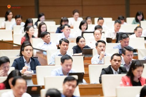 Các đại biểu tham dự phiên họp. Ảnh: Lâm Hiển
