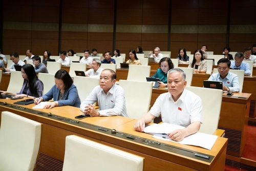 Các đại biểu Quốc hội dự phiên họp. 