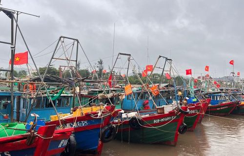 Tàu ngư dân tránh trú tại cảng cá Mắt Rồng (Hải Phòng).