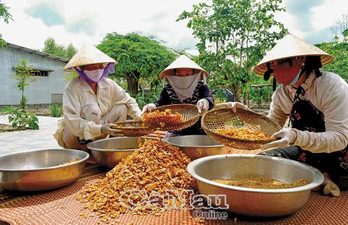 Nghề làm tôm khô trở thành sinh kế bền vững của nhiều gia đình.