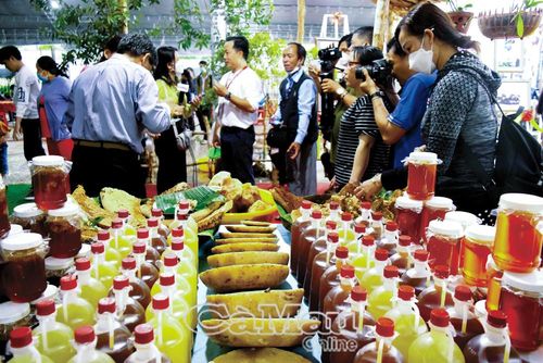 Đa dạng sản phẩm từ nghề gác kèo ong mang lại nguồn thu nhập ổn định và tạo sinh kế bền vững cho người dân địa phương.