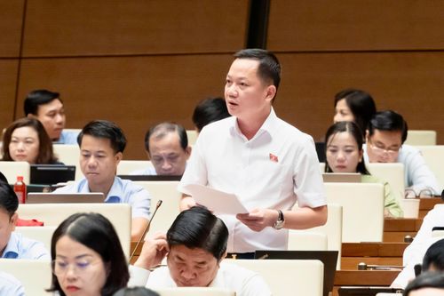 Đại biểu Trịnh Xuân An phát biểu thảo luận. Ảnh: VPQH