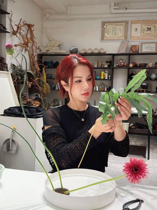 Diệp Lâm Anh và Phạm Kiên ngày càng gắn bó trong thời gian qua. Cả hai thường đồng hành cùng nhau trong công việc và cuộc sống, đồng thời gặp gỡ bạn bè vào thời gian rảnh. Cặp đôi cũng khá thoải mái khi xuất hiện cùng nhau và công khai mối quan hệ.