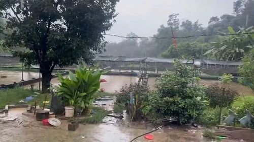 Nhiều hồ nuôi cá tầm tại thôn Bản Lề, xã Ba Sơn bị nước lũ tràn vào gây thiệt hại lớn cho các chủ nuôi. (Ảnh: NVCC)
