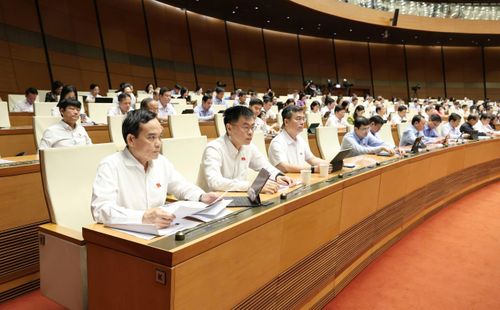 Bí thư Thành ủy TPHCM Trần Lưu Quang và các ĐB dự họp. Ảnh: QUANG PHÚC