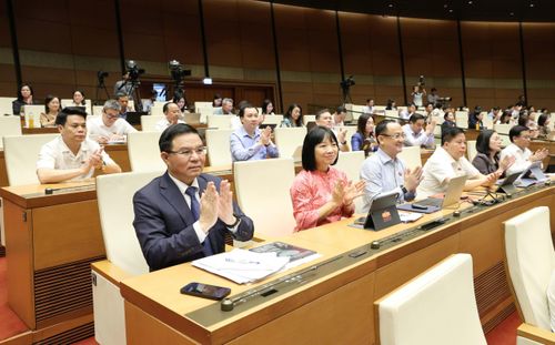 Quốc hội thông qua Luật sửa đổi, bổ sung một số điều của Luật Hải quan. Ảnh: QUANG PHÚC