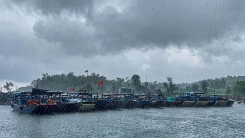 Nhiều tàu thuyền của ngư dân ở Đặc khu Cô Tô vào nơi tránh bão. Ảnh: THU BÁU