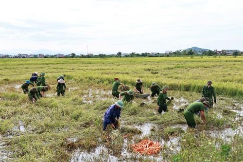 Đoàn thanh niên Công an xã Xuân Lộc khẩn trương thu hoạch cùng người dân. Việc hỗ trợ kịp thời giúp các hộ dân tranh thủ thu hoạch những diện tích lúa đã đến kỳ, không phải chờ nước rút trong điều kiện thời tiết còn diễn biến phức tạp.