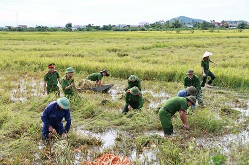 Sau trận mưa lớn, nhiều diện tích lúa hè thu tại xã Xuân Lộc (Hà Tĩnh) bị ngập, đổ rạp, không thể thu hoạch bằng máy. Để hạn chế thiệt hại cho người dân, lực lượng công an, đoàn thanh niên cùng cán bộ, chiến sĩ quân sự, hội viên phụ nữ và các lực lượng tại địa phương đã xuống đồng hỗ trợ thu hoạch lúa. Hoạt động này được thực hiện trong 2 ngày từ 22/8 đến 23/8 với khoảng 40 người tham gia hỗ trợ thu hoạch lúa bị ngập, đổ rạp tại thôn Yên Xuân, xã Xuân Lộc. Ảnh: HN
