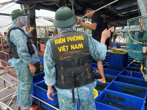 Trước diễn biến của bão số 4, Đồn Biên phòng Trà Cổ tổ chức tuyên truyền, giúp đỡ ngư dân, nhân dân chủ động phòng, chống bão, hướng dẫn các phương tiện vào nơi tránh trú an toàn.