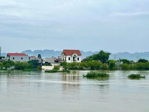 Mưa lớn, nước sông dâng cao khiến nhiều nhà dân ở ngoài đê bị ngập. Ảnh: Giáo xứ Đồng Đinh.