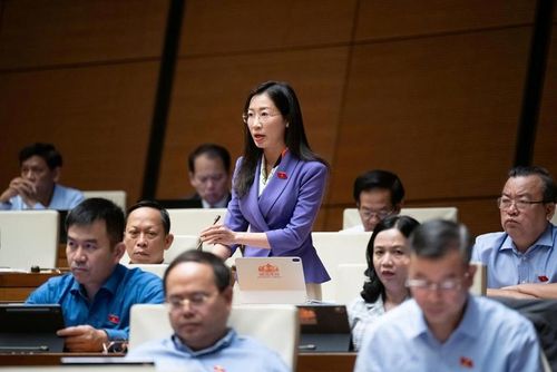  Đại biểu Hoàng Thị Thanh Thuý, đoàn ĐBQH tỉnh Tây Ninh phát biểu thảo luận (Ảnh: CTTĐT Quốc hội).